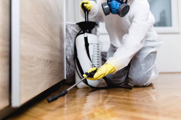 Best Emergency Pest Control  in Hanscom Af, MA