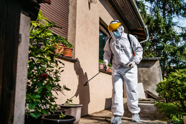 Best Ant Control Services  in Hanscom Af, MA