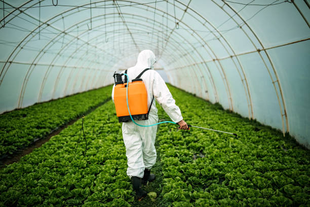 Professional Pest Control in Hanscom Af, MA