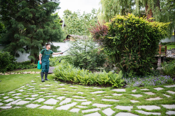 Best Pest Prevention Services  in Hanscom Af, MA