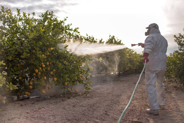 Best Pest Control Near Me in Hanscom Af, MA