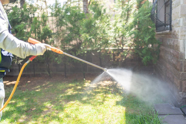 Best Flea Control Services  in Hanscom Af, MA