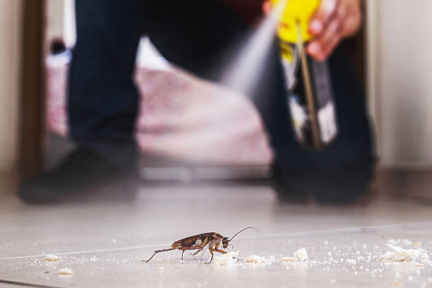 Best Commercial Pest Control Services  in Hanscom Af, MA