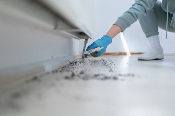 Best Mosquito Control Services  in Hanscom Af, MA