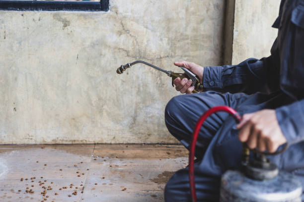 Best Pest Removal Services  in Hanscom Af, MA
