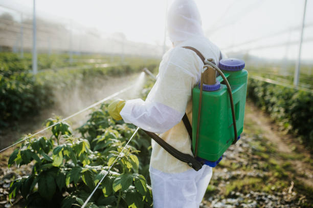 Best Bed Bug Extermination  in Hanscom Af, MA